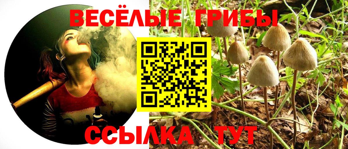 Псилоцибиновые грибы GOLDEN TEACHER Менделеевск
